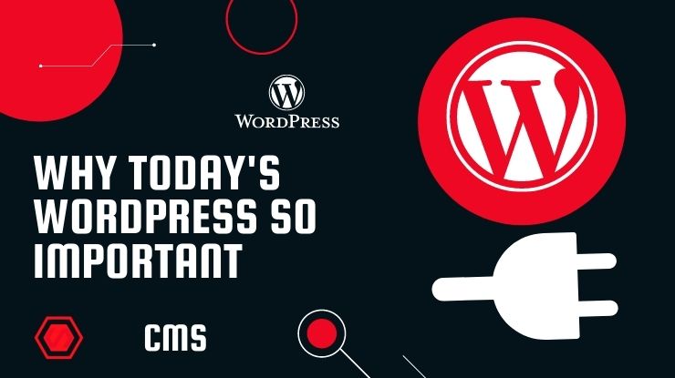 WordPress Importance